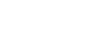 VKU Logo